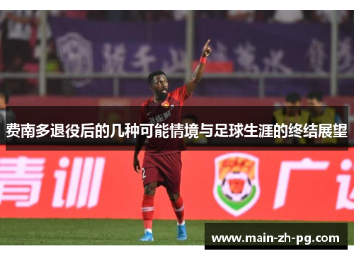 费南多退役后的几种可能情境与足球生涯的终结展望